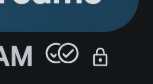 RCS padlock icon